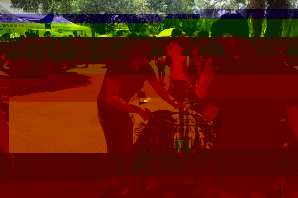 1BBB9